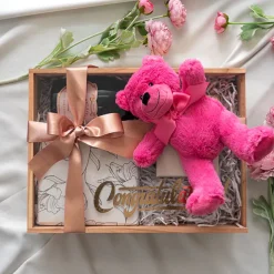 Jelly Bean Teddy Bear Hot Pink (20cmST)