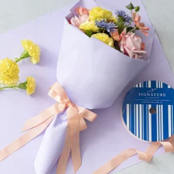 Jumbo Bulk Ribbon Grosgrain Plain Peach (25mmx100m)