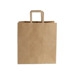 Kraft Bag Grocery Flat Handle Brown Pk10 (320Wx175Gx340mmH)