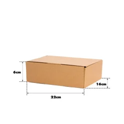 Kraft Mailing Box Pack 10 A5 Small Brown (220Wx160Dx60mmH)