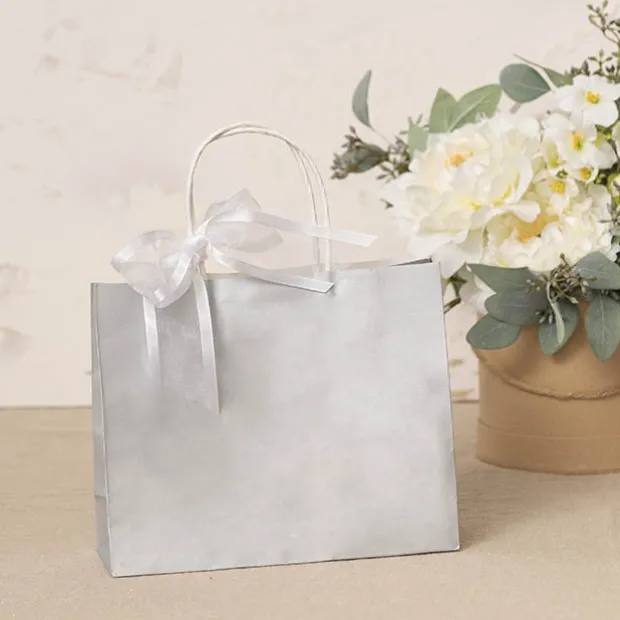 Kraft Paper Bag Boutique Medium Silver Pk10(220Wx80Gx180mmH)