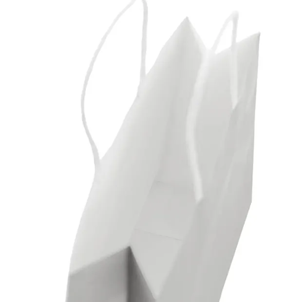 Kraft Paper Bag Boutique Medium Silver Pk10(220Wx80Gx180mmH)