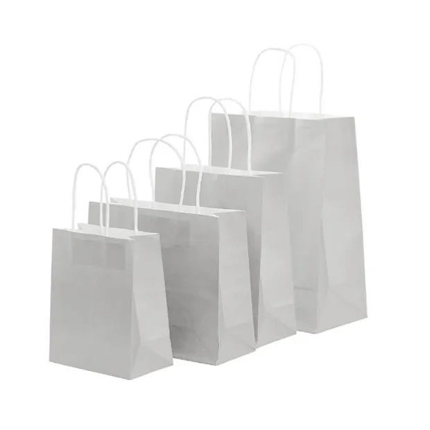 Kraft Paper Bag Boutique Medium Silver Pk10(220Wx80Gx180mmH)
