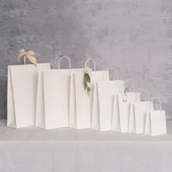 Kraft Paper Bag Shopper Giant White Pk10 (450Wx150Gx430mmH)