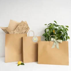 Kraft Paper Bag Shopper Jumbo Brown Pk10 (380Wx120Gx460mmH)