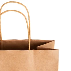 Kraft Paper Bag Shopper Large Brown Pk10 (240Wx120Gx355mmH)