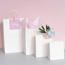 Kraft Paper Bag Shopper Small White Pk10 (180Wx85Gx215mmH)