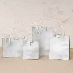 Kraft Paper Bag Shopper Small Silver Pk10 (180Wx85Gx215mmH)