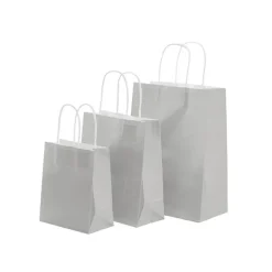 Kraft Paper Bag Shopper Small Silver Pk10 (180Wx85Gx215mmH)