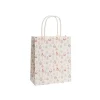 Kraft Paper Bag Small XmasCheer Pastel Pk10(180Wx85Gx215mmH)