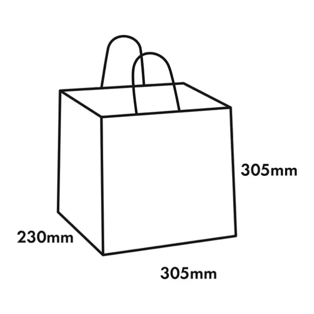 Kraft Paper Bag Takeaway Large Brown Pk10 (305Wx230Gx305mmH)