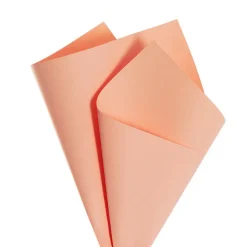 Kraft Paper Coloured 80gsm Peachy Keen Pack 100 (50x70cm)
