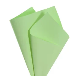 Kraft Paper Coloured 80gsm Paradise Green Pack 100 (50x70cm)