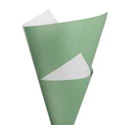 Kraft Paper Duet 80gsm Eucalyptus & White Pack 100 (50x70cm)