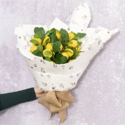 Kraft Paper Leafy Greens Print 80gsm White Pk100 (50x70cm)