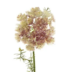 Lace Flower Spray Cream Purple (73cmH)