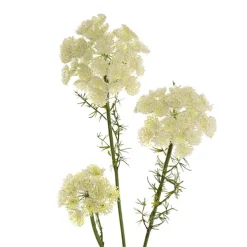Lace Flower Spray White (73cmH)