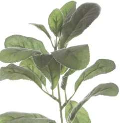 Lambs Ear Spray Grey (34cmH)