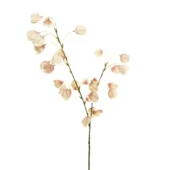 Lantern Flower Spray Champagne (97cmH)