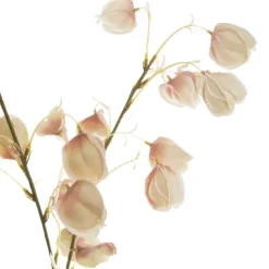 Lantern Flower Spray Champagne (97cmH)