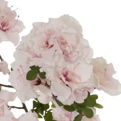 Large Cherry Blossom Spray Branch Soft Pink (103cmH)