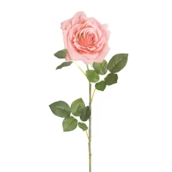 Large Colombian Rose Stem Pale Pink (20cmDx86cmH)