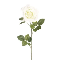 Large Colombian Rose Stem White (20cmDx86cmH)