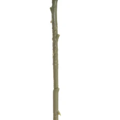 Large Colombian Rose Stem Soft Blue (20cmDx86cmH)