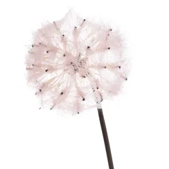 Large Dandelion Stem Soft Pink (12cmDx69cmH)