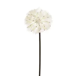 Large Dandelion Stem Soft Beige (12cmDx69cmH)