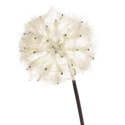 Large Dandelion Stem Soft Beige (12cmDx69cmH)
