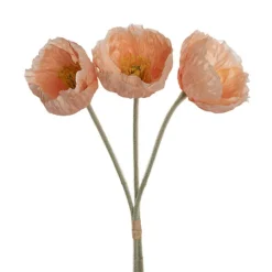 Large Poppy 3 Stem Bunch Soft Peach (14cmDx61cmH)