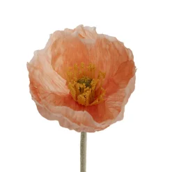 Large Poppy 3 Stem Bunch Soft Peach (14cmDx61cmH)