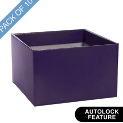 Large Posy Box Autolock Base Pack 10 Violet (22x14cmH)