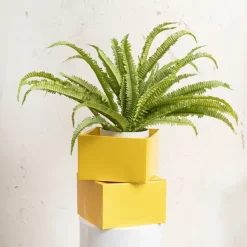 Large Posy Box Autolock Base Pack 10 Yellow (22x14cmH)