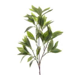 Laurel Leaf Spray Green (50cmH)
