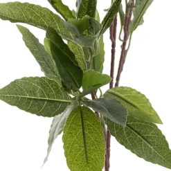 Laurel Leaf Spray Green (50cmH)