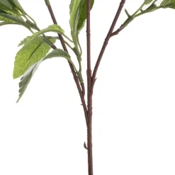 Laurel Leaf Spray Green (50cmH)