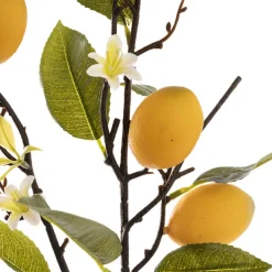 Lemon w Flower Bud Spray Yellow (60cmH)