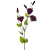 Lisianthus Spray Burgundy (89cmH)