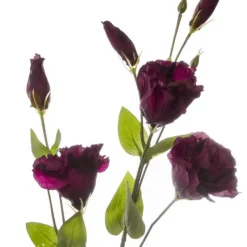 Lisianthus Spray Burgundy (89cmH)