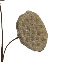 Lotus Pod Spray Brown (63cmH)