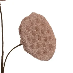 Lotus Pod Spray Dusty Pink (63cmH)