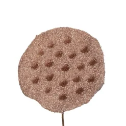 Lotus Pod Spray Dusty Pink (63cmH)