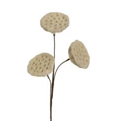 Lotus Pod Spray Nude Beige (63cmH)