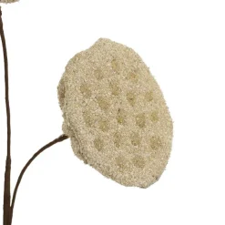 Lotus Pod Spray Nude Beige (63cmH)