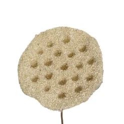 Lotus Pod Spray Nude Beige (63cmH)