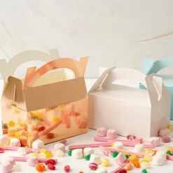 Lunch Box Cardboard White 5pk (20x16x12cm)