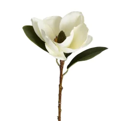 Magnolia Flower Stem White (52cmH)