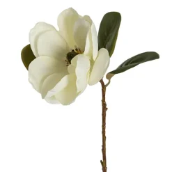 Magnolia Flower Stem White (52cmH)